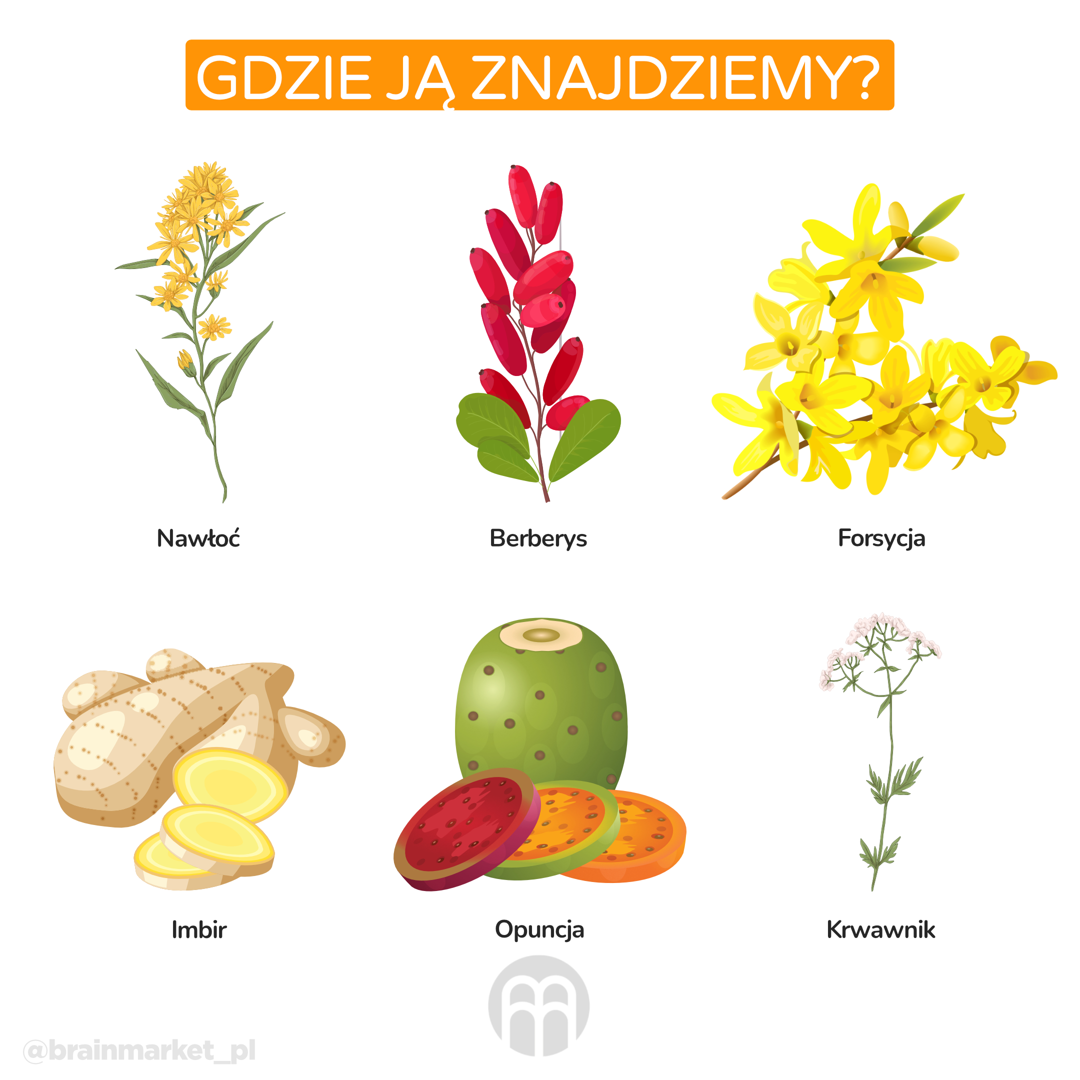 kde se vyskytuje_infografika_pl